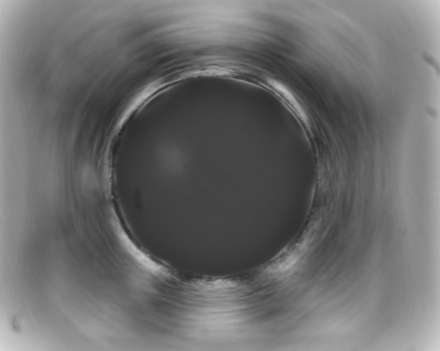 X0000099380851200805081444