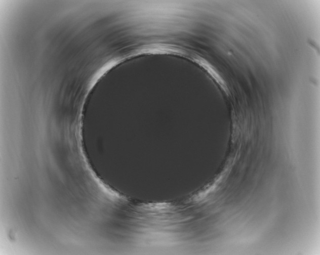 X0000099380853200805081444