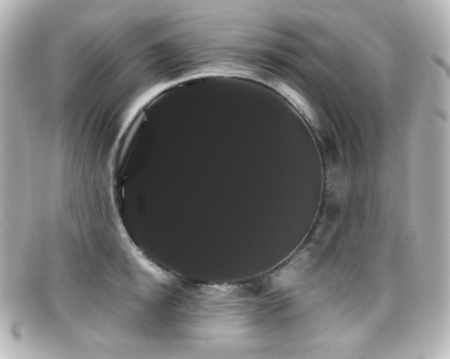 X0000099380854200805081444