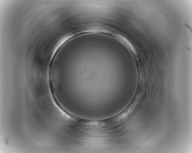 X0000099380855200805081444