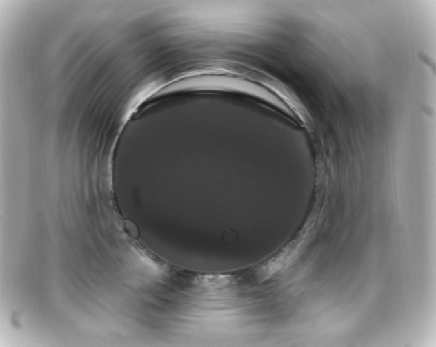 X0000099380858200805081444