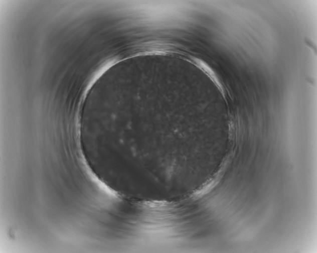 X0000099380859200805081444