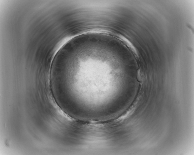 X0000099380860200805081444