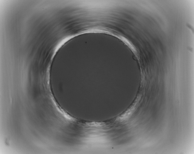 X0000099380862200805081444