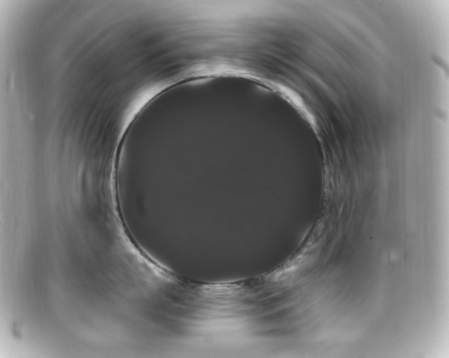 X0000099380863200805081444