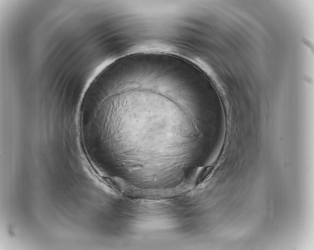 X0000099380864200805081444