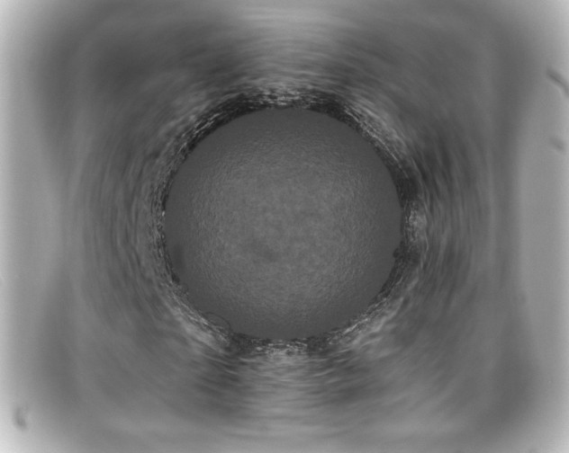 X0000099380865200805081444