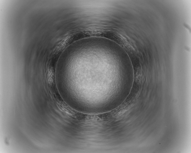 X0000099380866200805081444