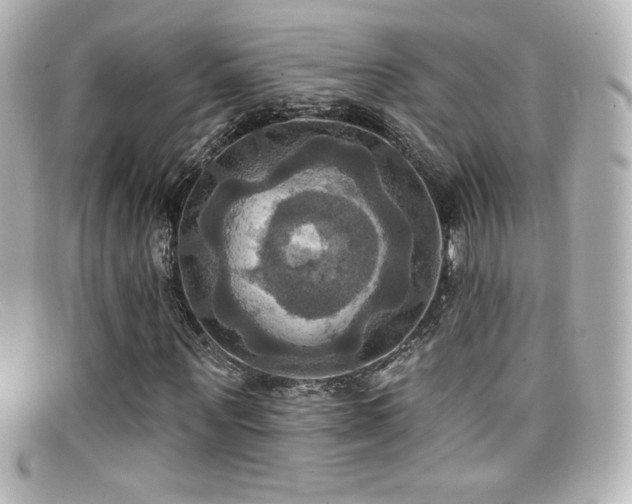 X0000099380867200805081444