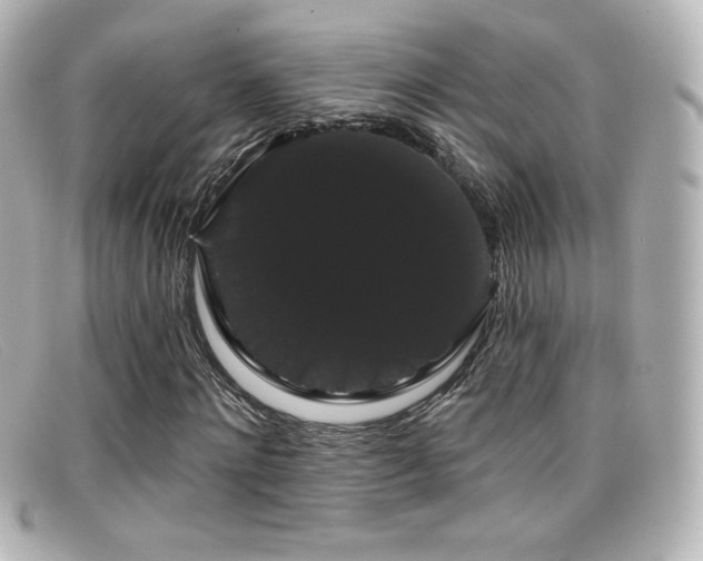X0000099380868200805081444