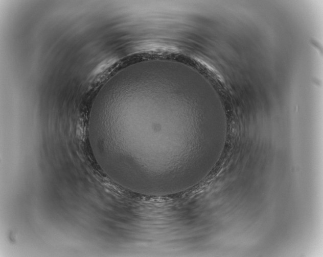 X0000099380869200805081444