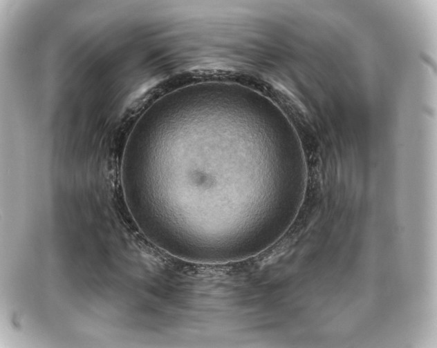 X0000099380870200805081444