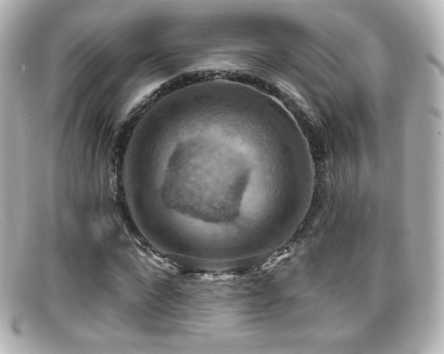X0000099380872200805081444