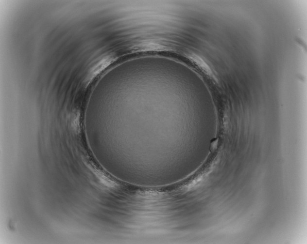 X0000099380873200805081444