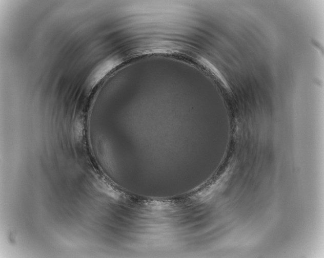 X0000099380874200805081444