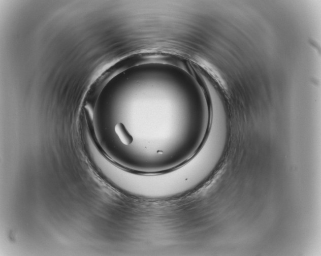 X0000099380876200805081443