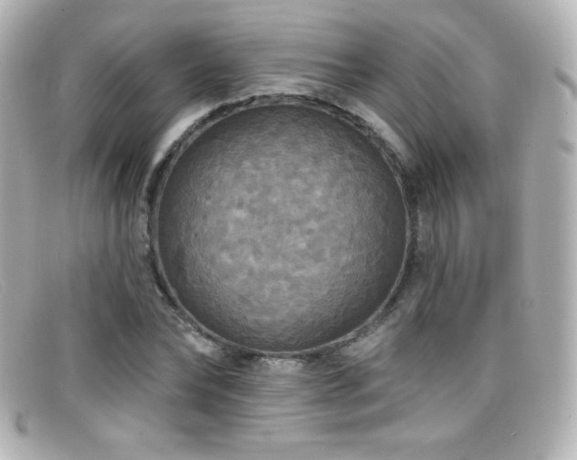X0000099380878200805081443