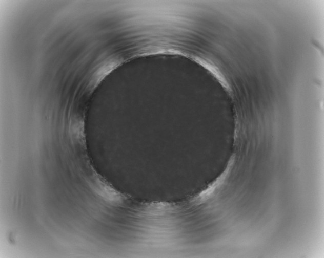 X0000099380881200805081443