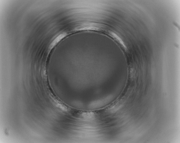 X0000099380882200805081443