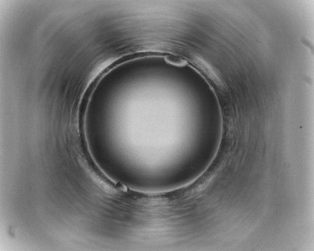 X0000099380884200805081443
