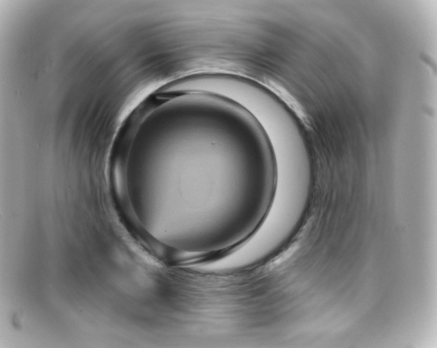 X0000099380885200805081443