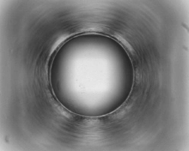 X0000099380886200805081443