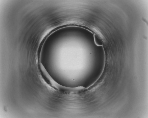 X0000099380888200805081443