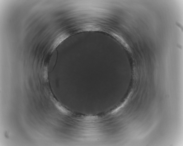 X0000099380889200805081443