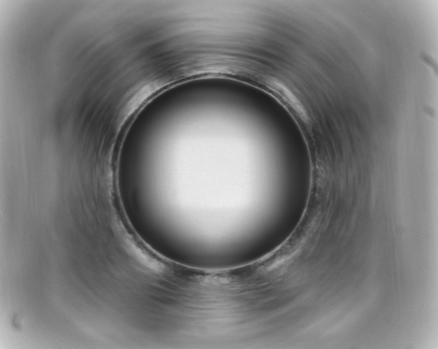 X0000099380890200805081443
