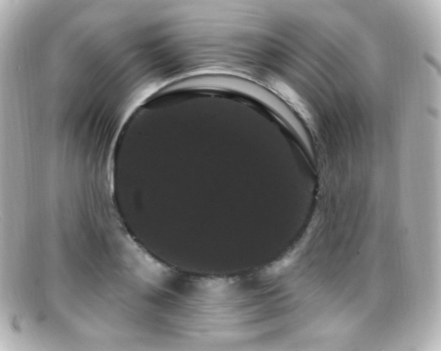 X0000099380892200805081443