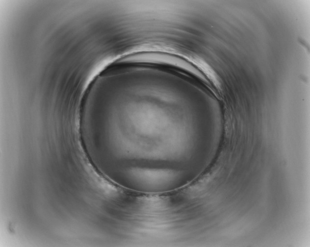 X0000099380896200805081443