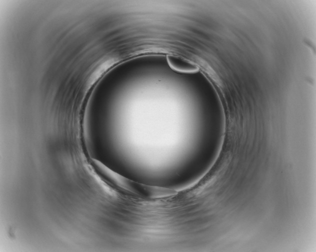 X0000099380898200805081443