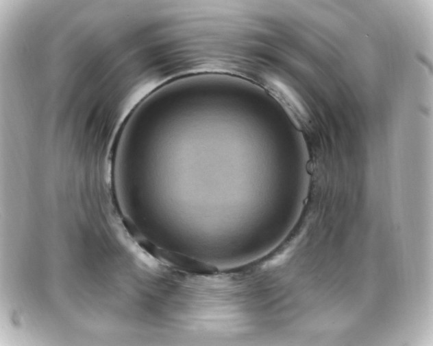 X0000099380900200805081443