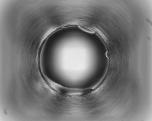 X0000099380902200805081443