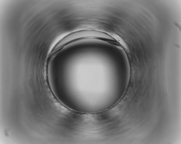 X0000099380904200805081443