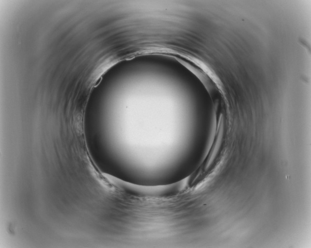 X0000099380905200805081443