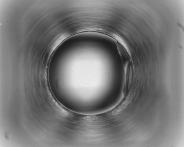 X0000099380906200805081443