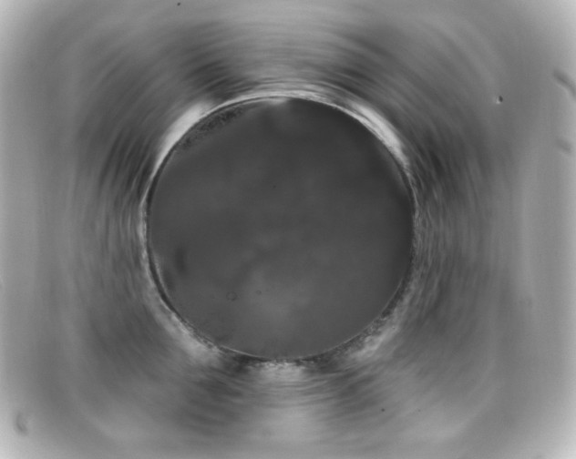 X0000099380907200805081443