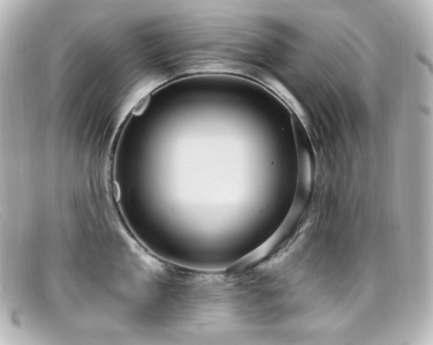 X0000099380909200805081443