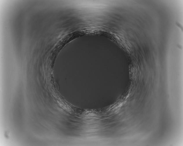 X0000099380913200805081442