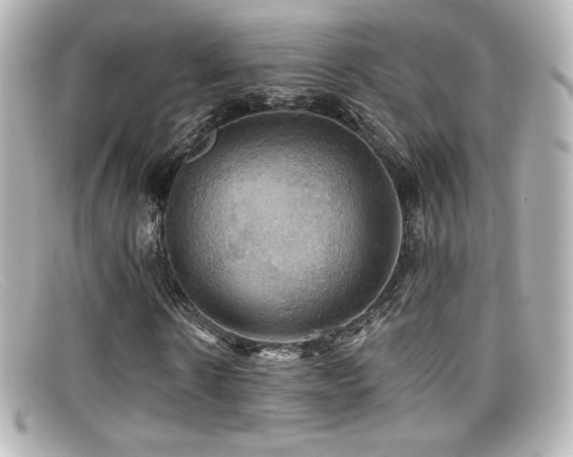 X0000099380914200805081442