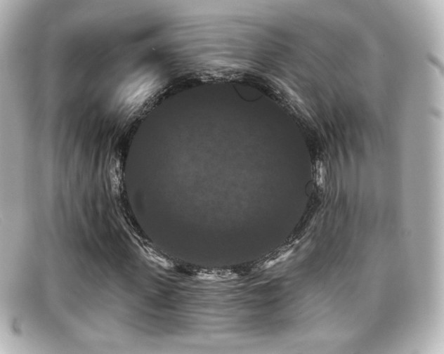 X0000099380915200805081442