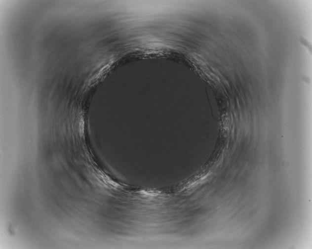 X0000099380916200805081442