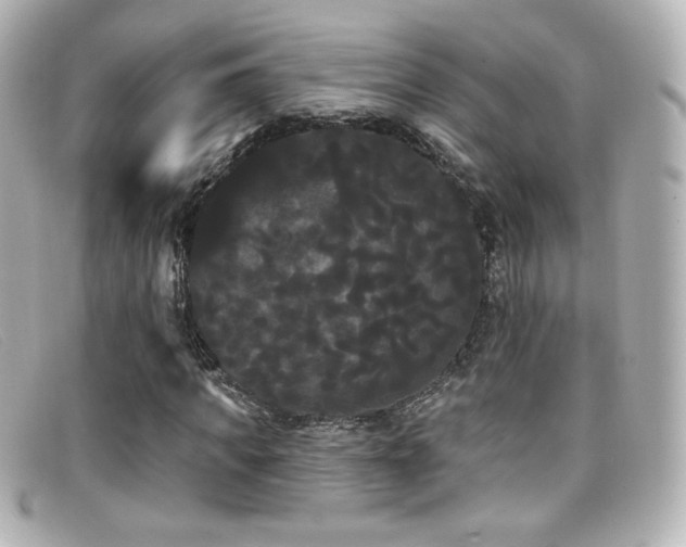 X0000099380917200805081442