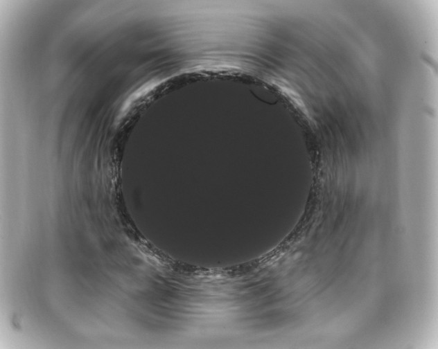 X0000099380920200805081442