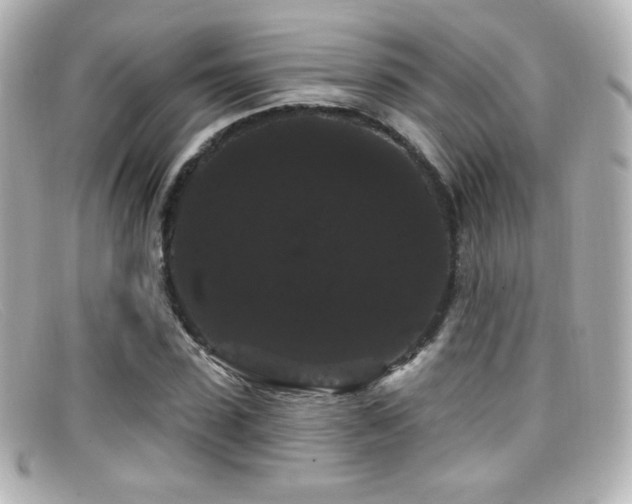 X0000099380923200805081442