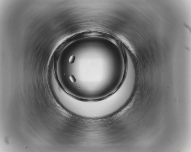 X0000099380924200805081442