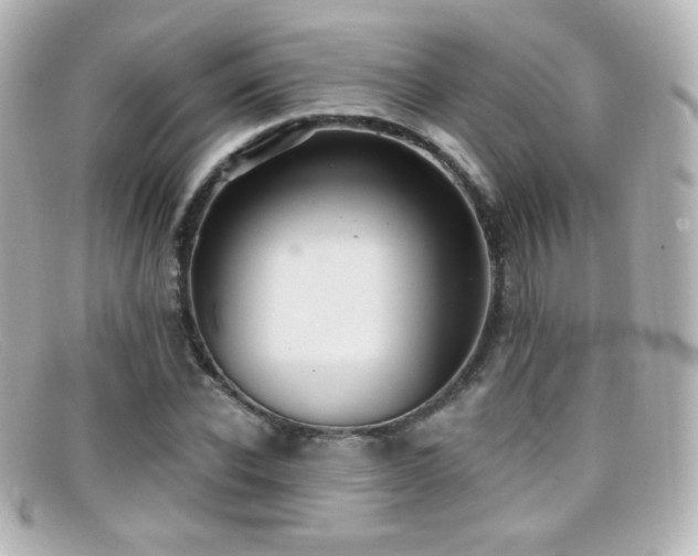 X0000099380926200805081442