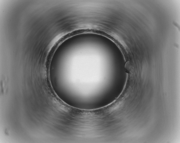 X0000099380927200805081442