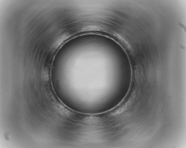 X0000099380929200805081442